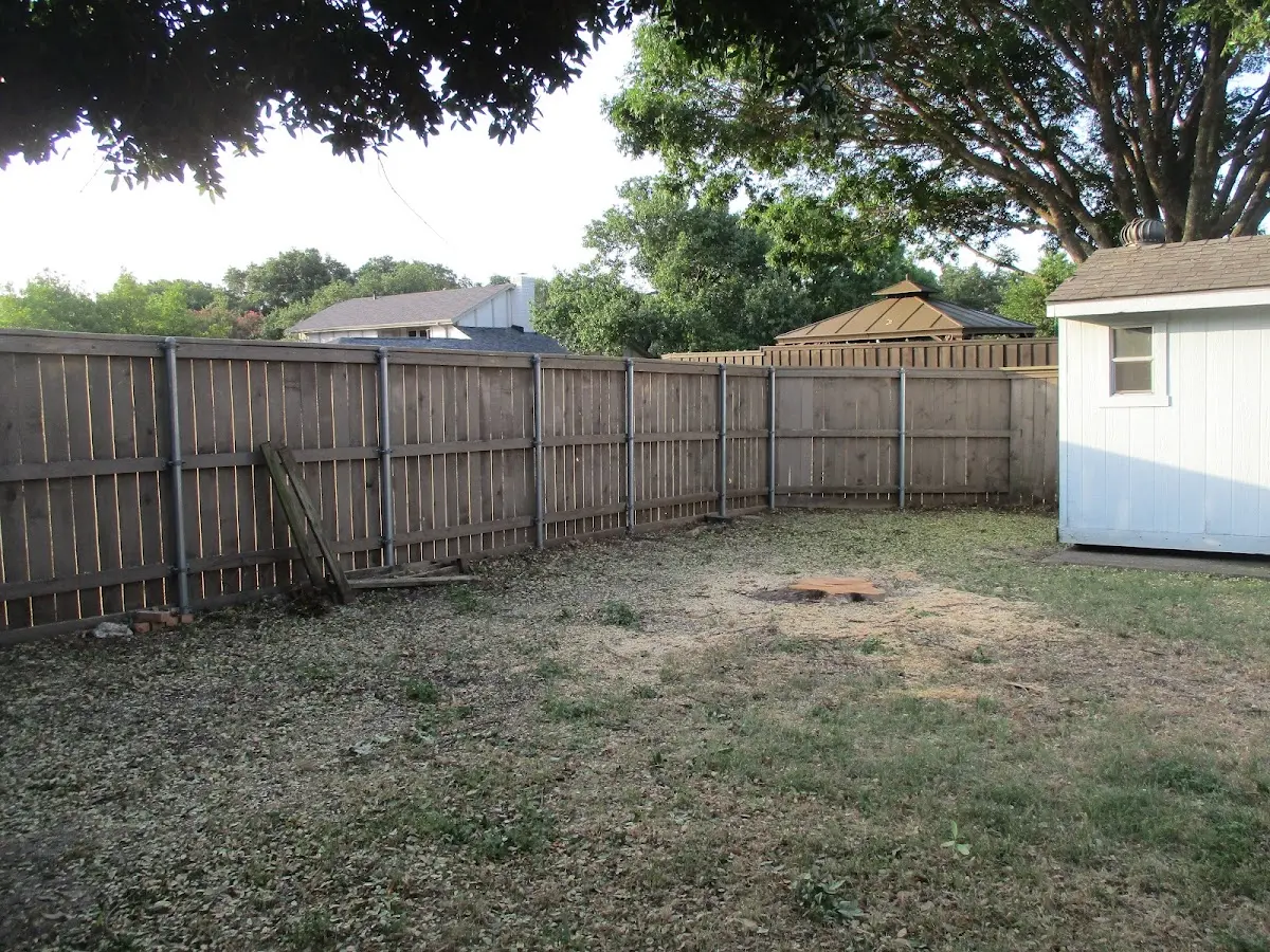 Cleared yard after professional tree removal in Leivasy